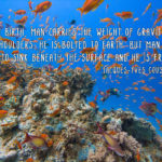 Quote by Jacques Yves Cousteau